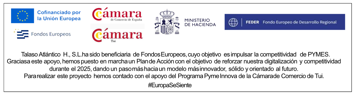 Programa Pyme Innova de la Cámara de comercio de Tui