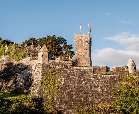 Fortaleza del parador de Baiona, Monterreal